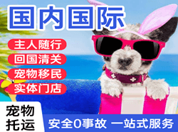 六盘水月照机场邮寄国际宠物托运 【国